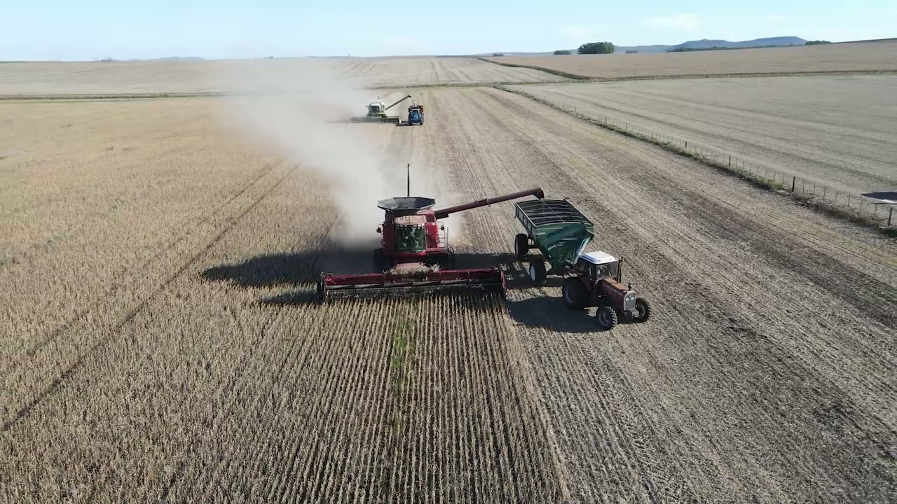 Cosechadora junto a un tractor con tolva en un lote de soja, vistos desde arriba.