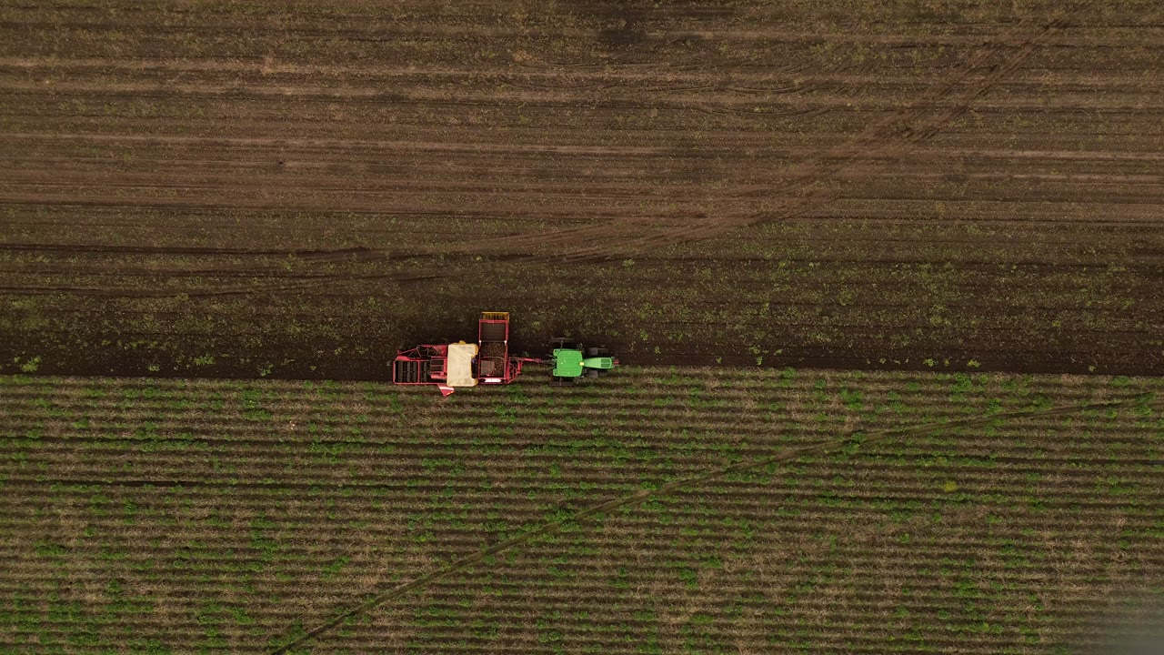 Maquinaria trabajando en un lote de papa, con los surcos extendiéndose sobre el terreno.